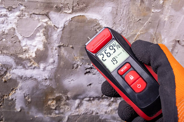 Best Mold Testing and Inspection Services in East Bangor, PA