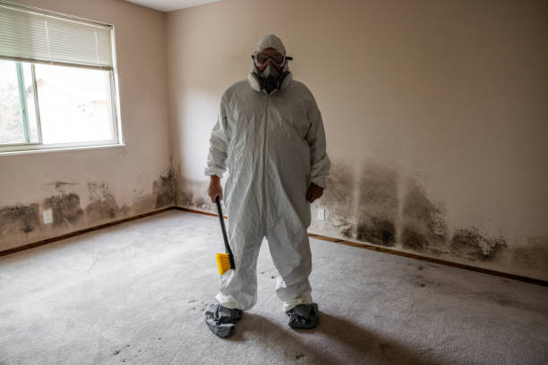 Best HVAC Mold Remediation in East Bangor, PA